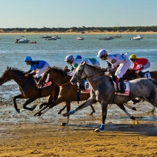 Telegram profile photo for Racing Josebreval