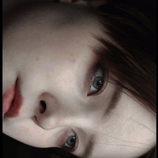 Telegram profile photo for Polin Nova | broadcasts.