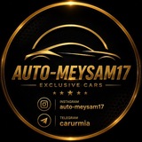Telegram profile photo for 🚘خودرویی / میثم محمودزاده🚘