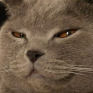 Telegram profile photo for британська розвідка ✙