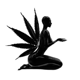 Telegram profile photo for artefuckts