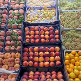 Telegram profile photo for میوه فروشی آنلاین تک