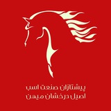 Telegram profile photo for پیشتازان اسب اصیل عرب