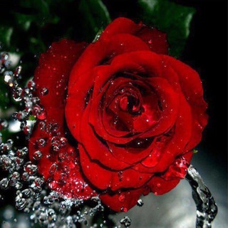 Telegram profile photo for خـواطـر راقـيـهہ بـذوقـي🌸