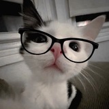 Telegram profile photo for дорогой дневник kkoro