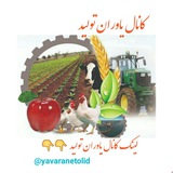 Telegram profile photo for کانال یاوران تولید