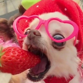 Telegram profile photo for Вокруг тарелок