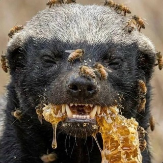 Telegram profile photo for ревиев | Подслушано Таганрог