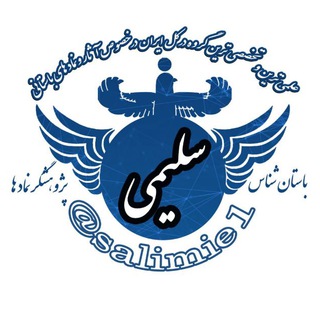 Telegram profile photo for آموزش دفینه یابی(استادسلیمی)