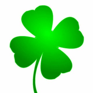 Telegram profile photo for Irland Daily