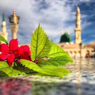 Telegram profile photo for دِيسَمْبرِيّةَ~💙