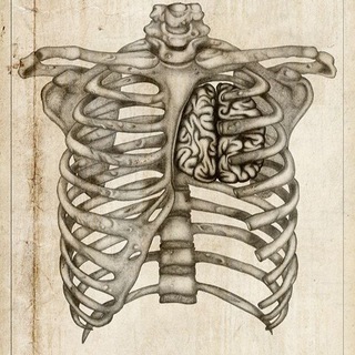 Telegram profile photo for Anatomy Quizzes