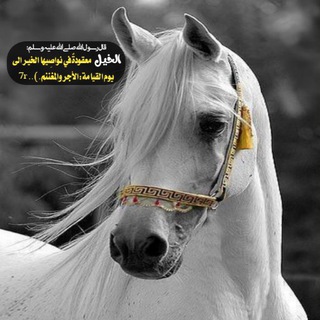 Telegram profile photo for "خيول.. الاصايل7r🐎