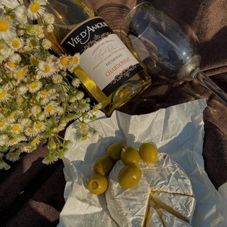Telegram profile photo for Кино под Вино