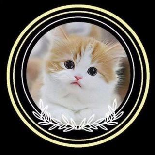 Telegram profile photo for Muneer's cloud channel 🌤️