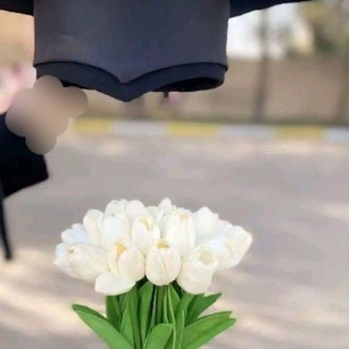 Telegram profile photo for مبروكه الصغِير🇱🇾