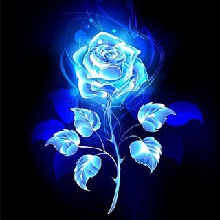 Telegram profile photo for π¦ πΈΒ΄π΄ ππ½π²π»π°πΎπ΅
