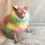 Telegram profile photo for Тупой и Злой АНДРЮША