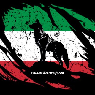 Telegram profile photo for BlackWerewolf Iran