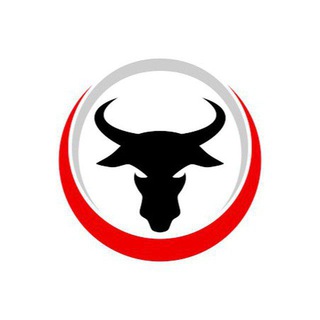 Telegram profile photo for BM STOCK AND OPTION