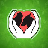 Telegram profile photo for Приют "Добрые руки" Брянск