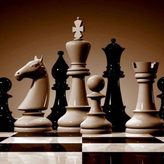 Telegram profile photo for Pawn Matrix