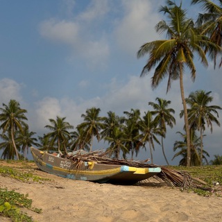 Telegram profile photo for Дикий TRAVEL