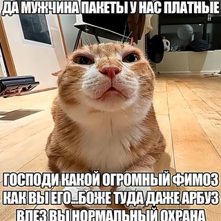 Telegram profile photo for я пиздец