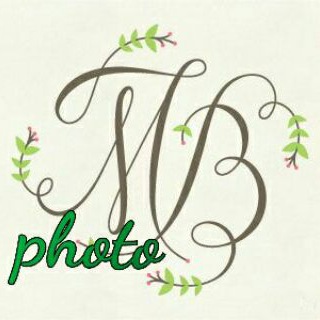 Telegram profile photo for سواعد الإخاء 11