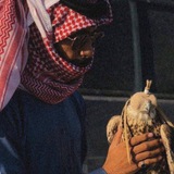 Telegram profile photo for معشي الذيب