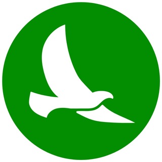 Telegram profile photo for Magicallife Gyani