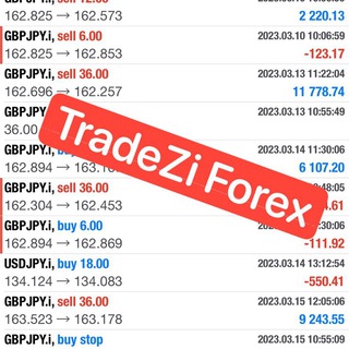 Telegram profile photo for TradeZi Forex Testimonial