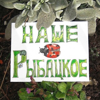 Telegram group profile photo for Наше Рыбацкое