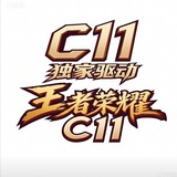 Telegram profile photo for 王者C11解密内核官方频道