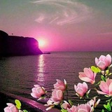 Telegram profile photo for Чудо-природа