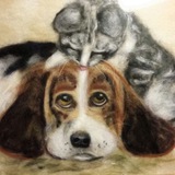Telegram profile photo for АНО Зооцентр Милый друг