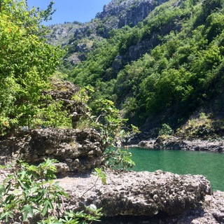 Telegram group profile photo for Черногория для жизни 🌳🌲🌴