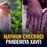 Telegram profile photo for Maymunchechak (Official)