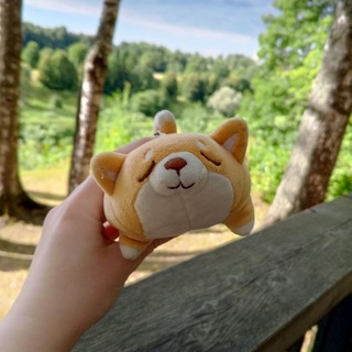 Telegram profile photo for Блог Жмякиша