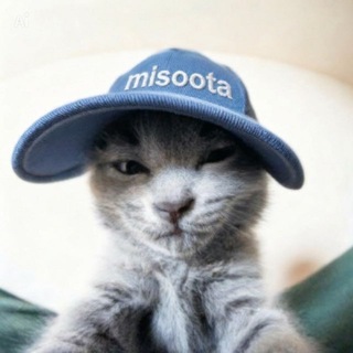Telegram profile photo for мисута