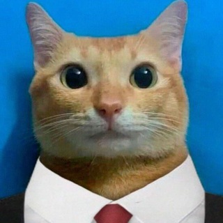 Telegram profile photo for Рыжий Кот