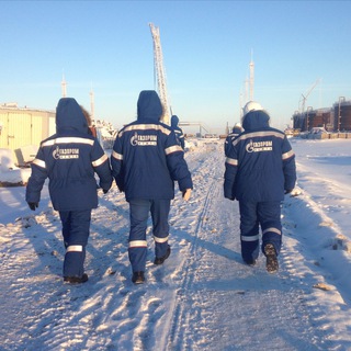 Telegram profile photo for Arctic online