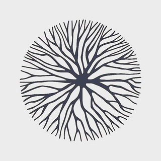 Telegram profile photo for Переводчик с тишины