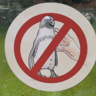 Telegram profile photo for Говна Пирога