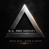 Telegram profile photo for b.s_pro_hockey