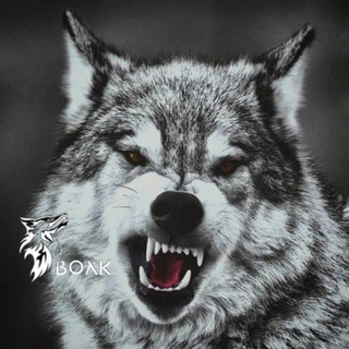 Telegram profile photo for โค๊ฏญ๐ฅ ๐ผ๐๐๐๐๐๐ข ๐๐๐๐ ๐ท๐ช๊ฆฟ