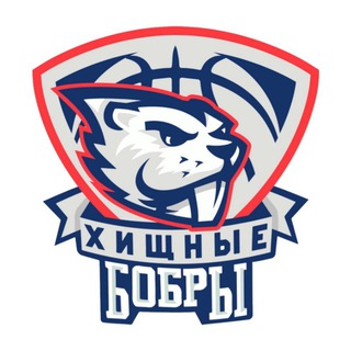 Telegram profile photo for БК ВГУ «Хищные Бобры»