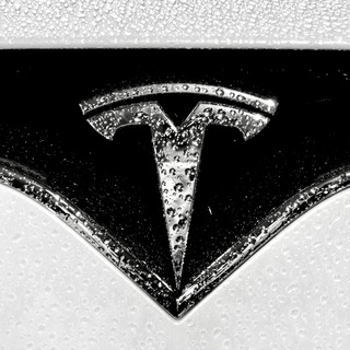 Telegram profile photo for Tesla Motors Fans ⚡