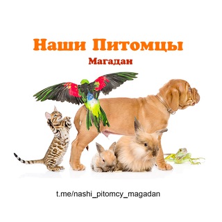 Telegram profile photo for Наши питомцы (Магадан)