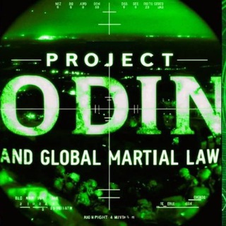 Telegram profile photo for PROJECT ODIN - MARTIAL LAW